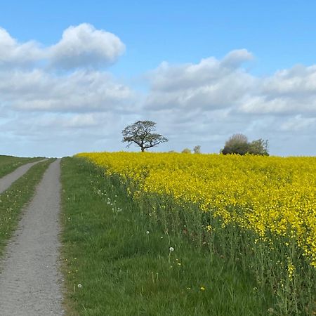 Blomstertantens Hus Trelleborg Exterior foto